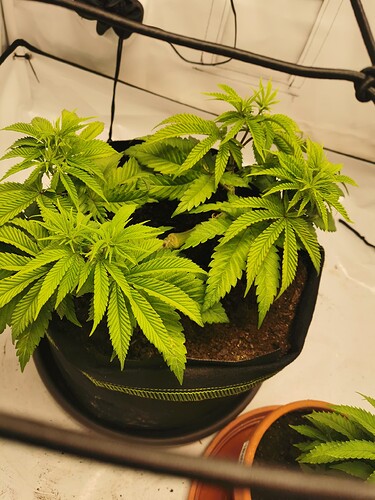 Growreport Bild 15