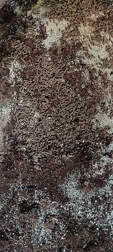 IMG-20240902-WA0031