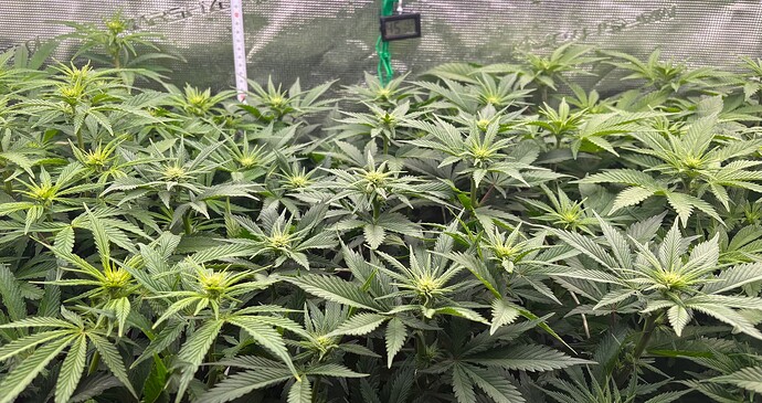 Foto 30.12.25, 13 41 22