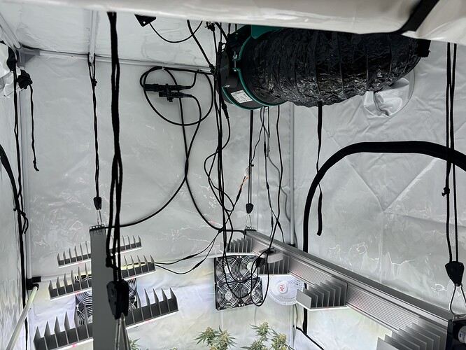 Growreport Bild 2