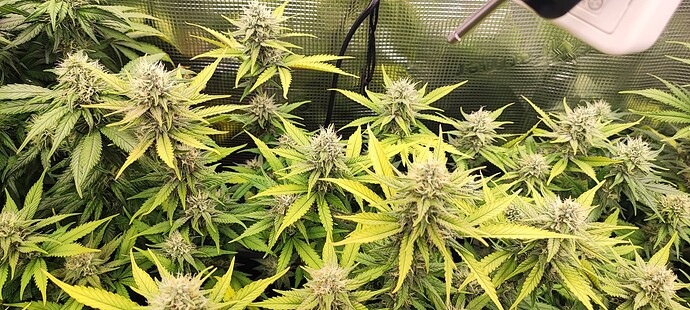 Growreport Bild 16