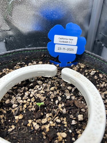 Growreport Bild 7