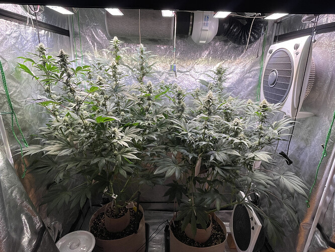Growreport Bild 1