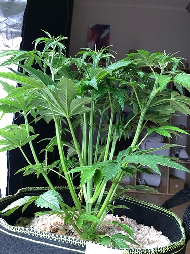 Growreport Bild 10