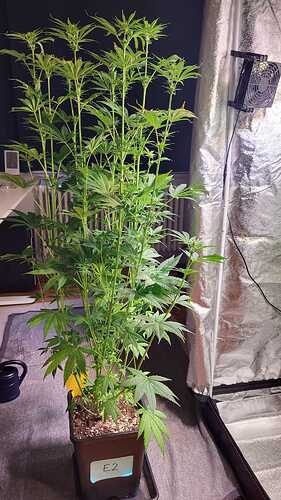Growreport Bild 9