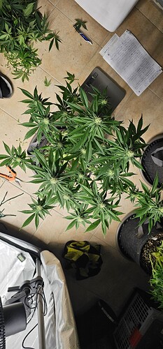 Growreport Bild 10