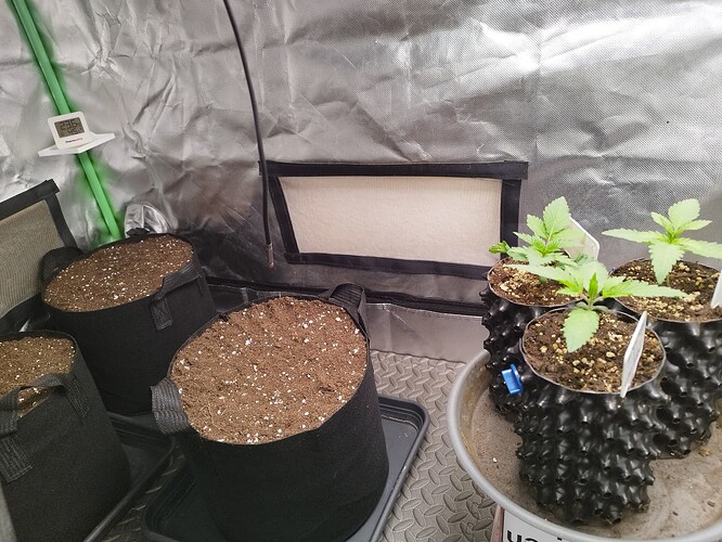 Growreport Bild 4