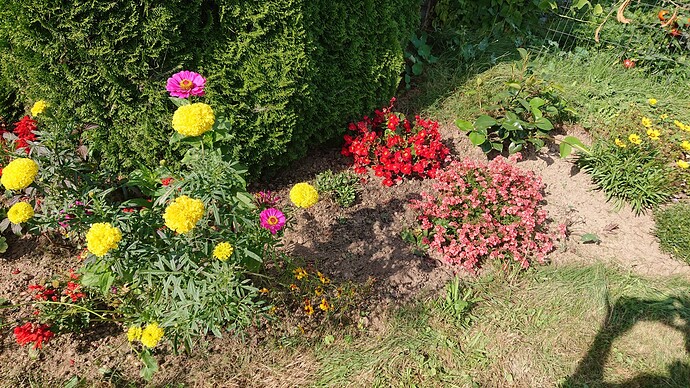 Growreport Bild 19