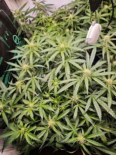 MVIMG_20251026_194255