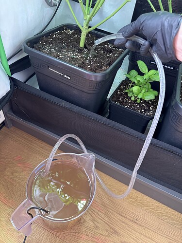 Growreport Bild 29
