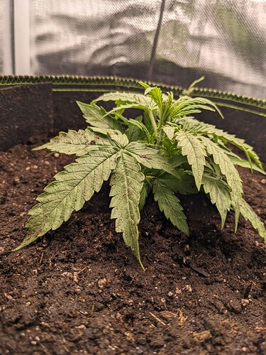 PXL_20240507_231002089