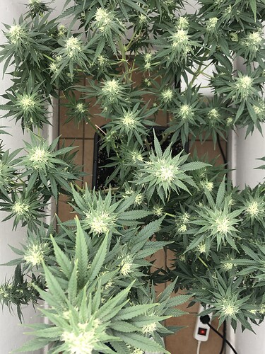 Growreport Bild 7