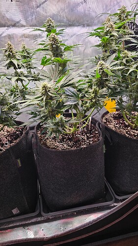 Growreport Bild 8