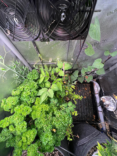 Growreport Bild 6