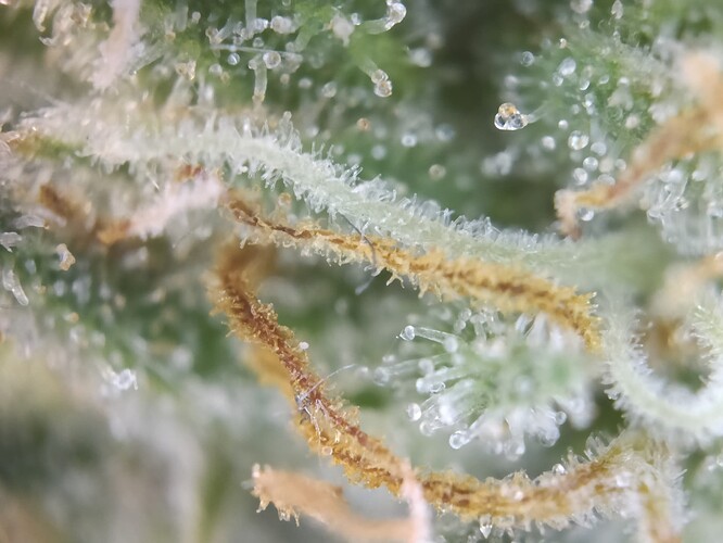 Growreport Bild 24
