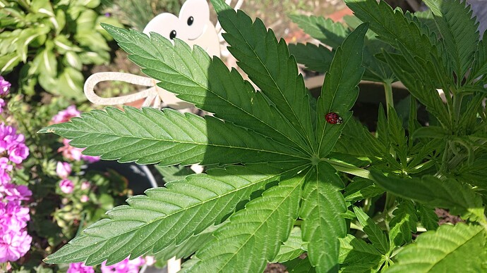 Growreport Bild 38