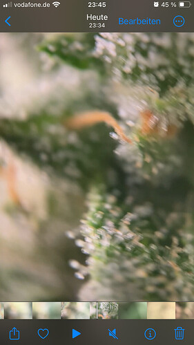 Growreport Bild 16