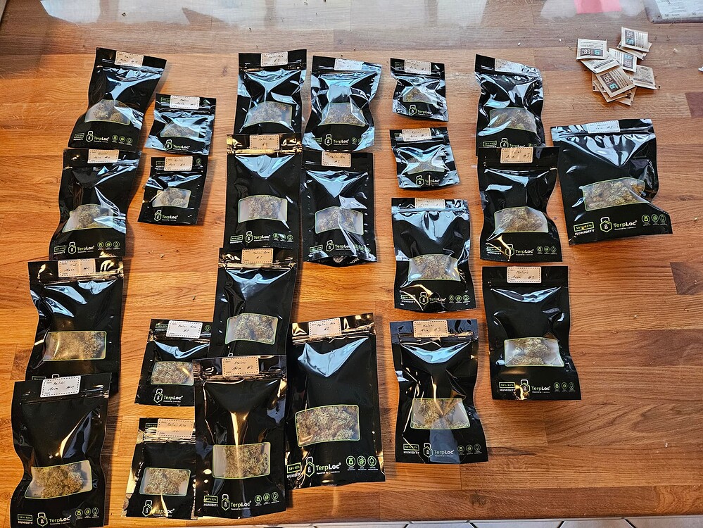 1.Grow 3x Kalini Asia 3x Northern Lights (Indoor)