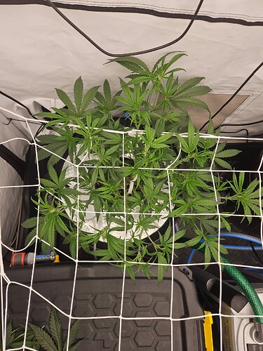 Growreport Bild 13