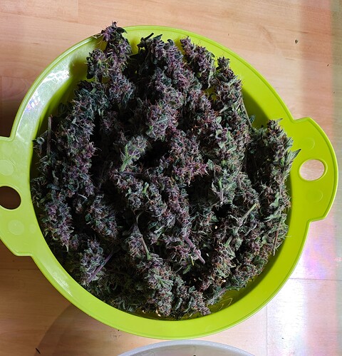 Growreport Bild 3