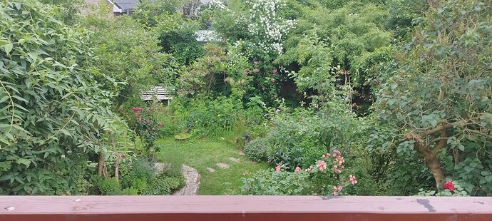 Growreport Bild 12