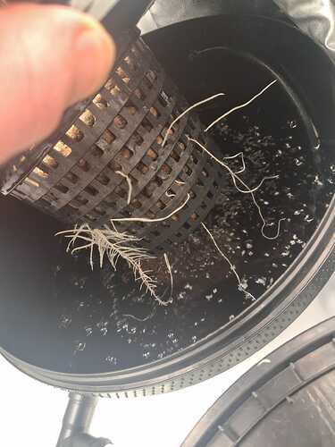 WhatsApp Image 2026-02-02 at 10.58.45