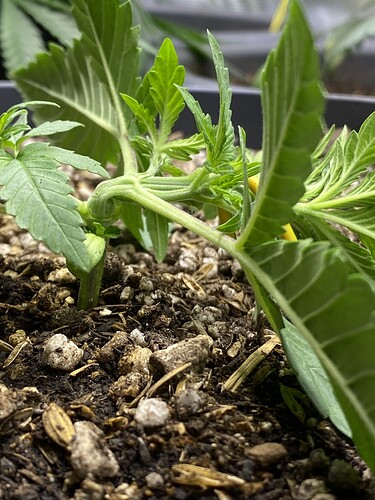 Growreport Bild 30