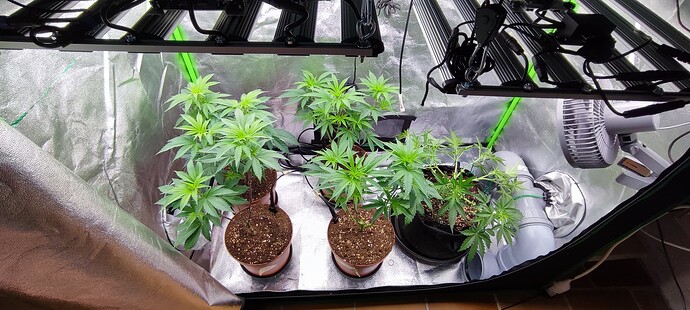 Growreport Bild 10