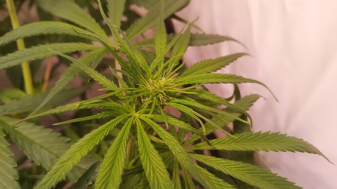 Growreport Bild 23