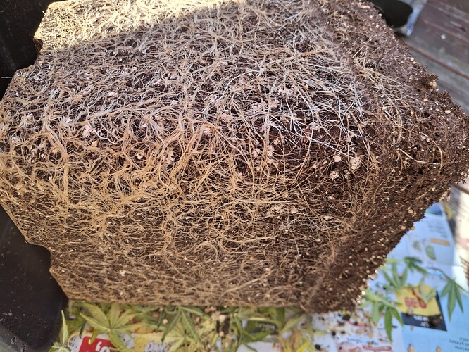 Growreport Bild 11