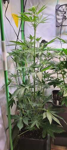 Growreport Bild 17