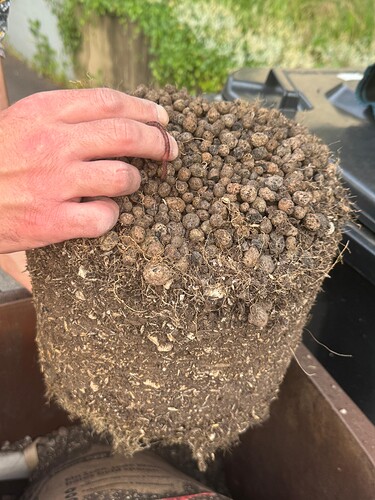 Growreport Bild 11