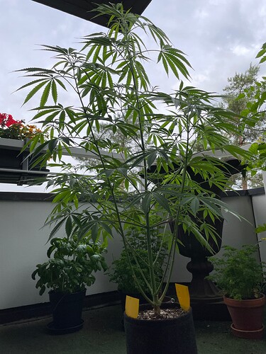 Growreport Bild 30