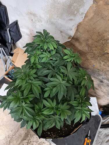 Growreport Bild 6
