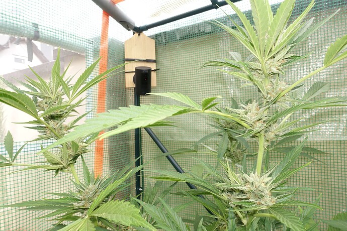 Growreport Bild 2