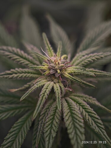Growreport Bild 2