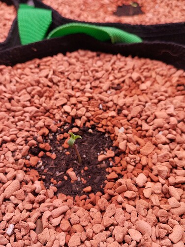 IMG_20241118_182948 - Kopie