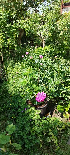 Growreport Bild 22