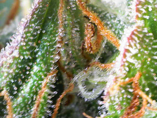 Photo_2026-03-04 16_29_28_199