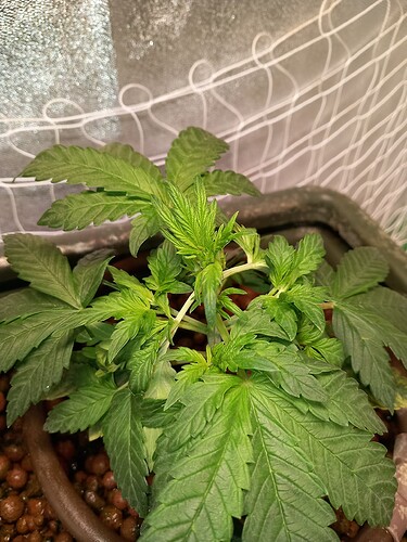 Growreport Bild 1