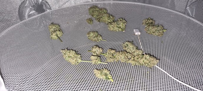 Growreport Bild 50