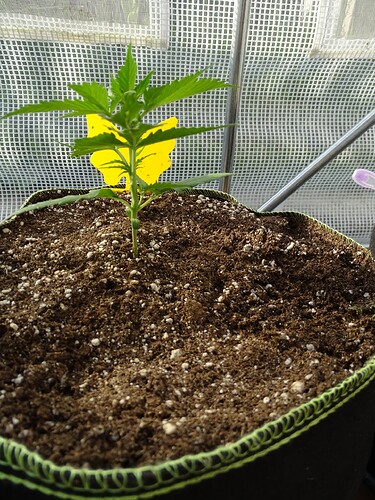 Growreport Bild 4