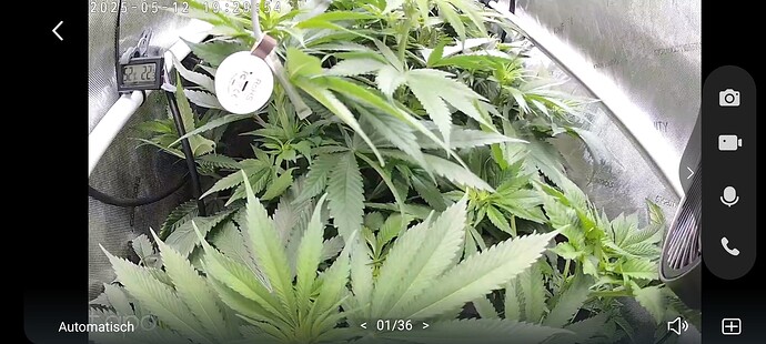 Growreport Bild 11