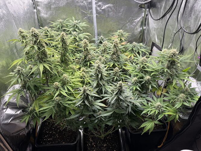 Growreport Bild 17