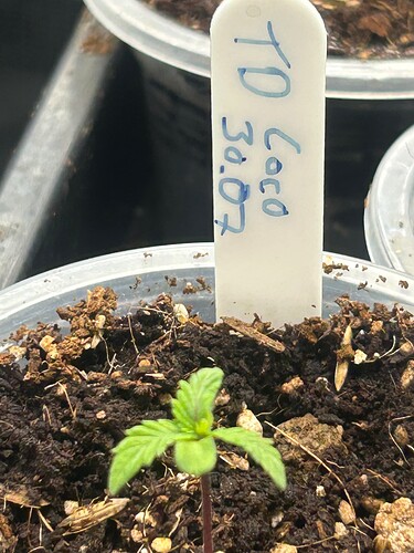 Growreport Bild 7