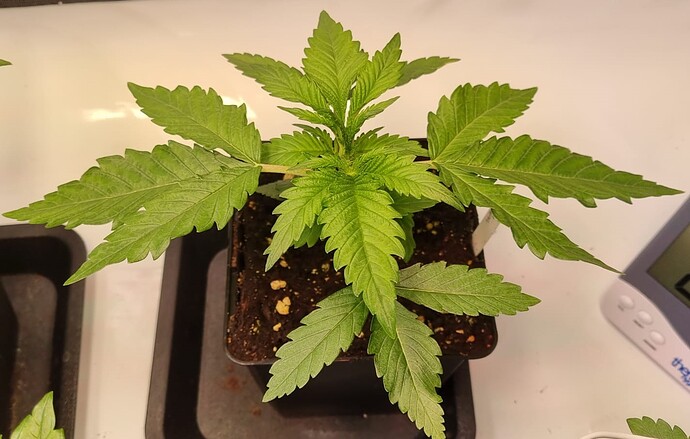 WhatsApp Image 2024-11-10 at 22.06.25 (2)