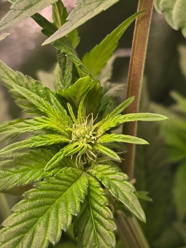Growreport Bild 3