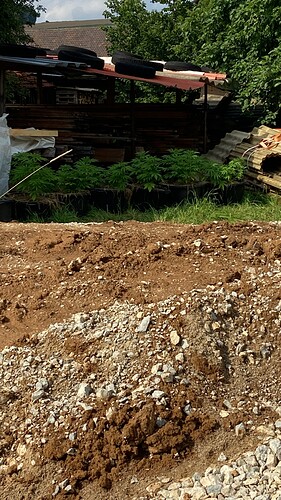 Growreport Bild 1