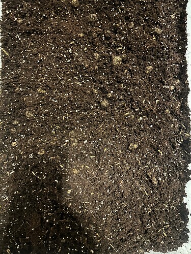 Growreport Bild 63