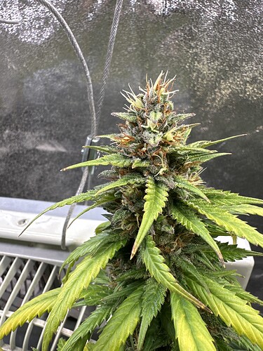Growreport Bild 18